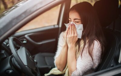 Allergie stagionali e la tua auto: mantenere l’abitacolo libero da pollini