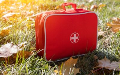Preparazione del kit di emergenza estivo: cosa non può mancare nel tuo bagagliaio